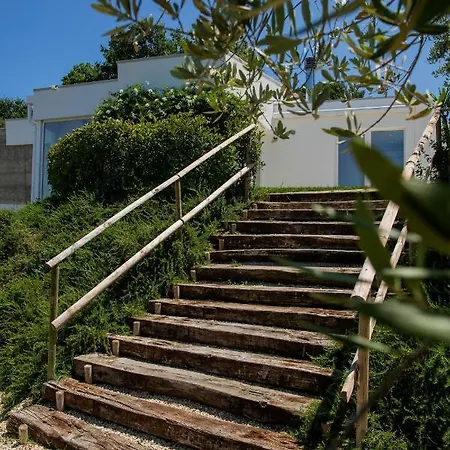 Ulivo Bianco 3* San Giovanni Teatino