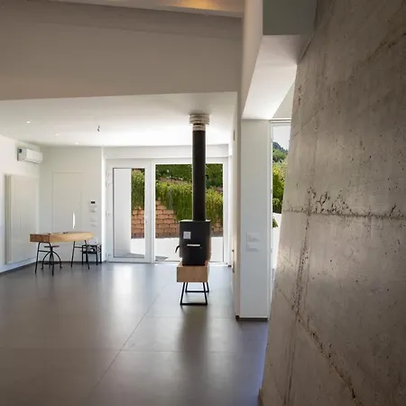 Ulivo Bianco San Giovanni Teatino