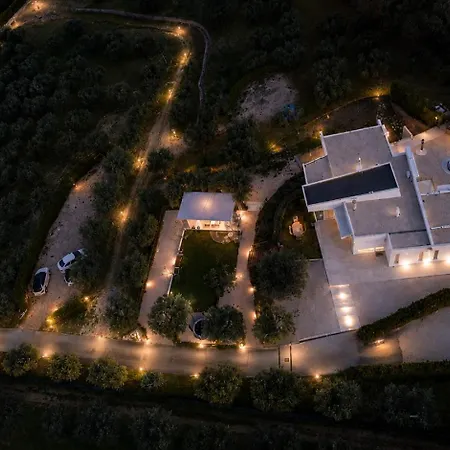 Ulivo Bianco 3*