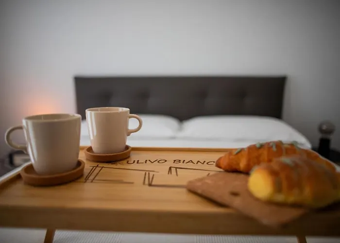 Ulivo Bianco Bed & Breakfast San Giovanni Teatino