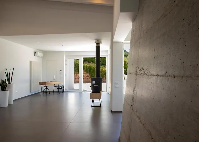 Ulivo Bianco San Giovanni Teatino