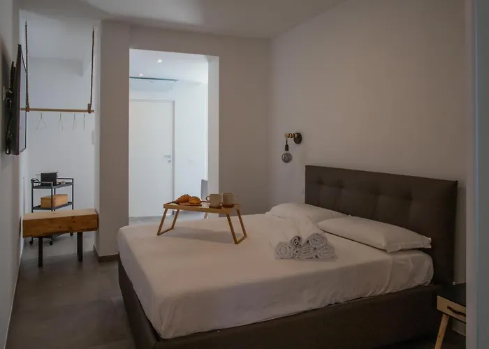 Ulivo Bianco San Giovanni Teatino